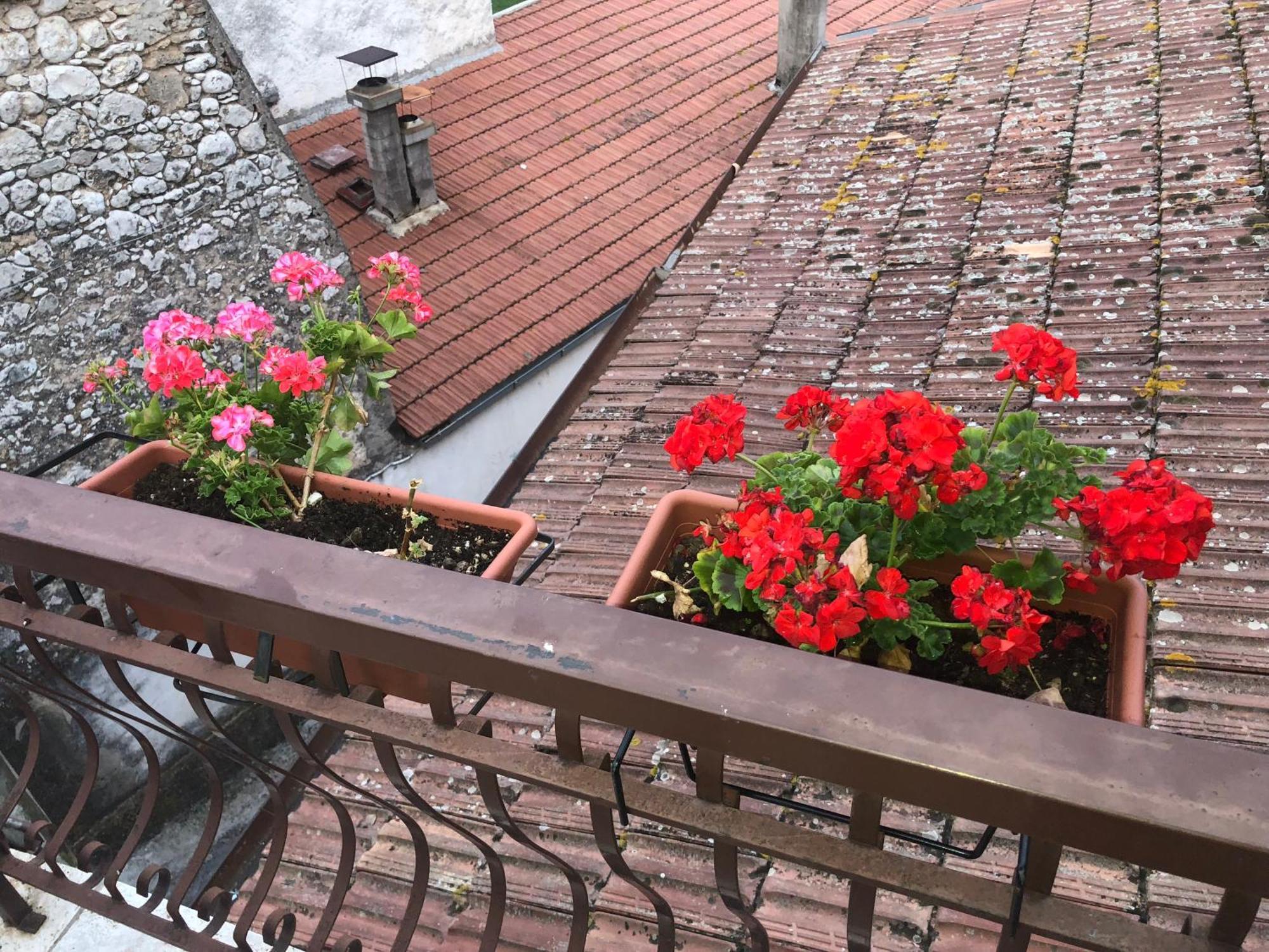 Pozzilli Bed And Breakfast Il Cavaliere المظهر الخارجي الصورة